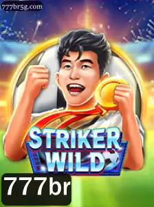 Desvendando o Jogo StrikerWILD: Uma Aventura Repleta de Ação e Estratégia